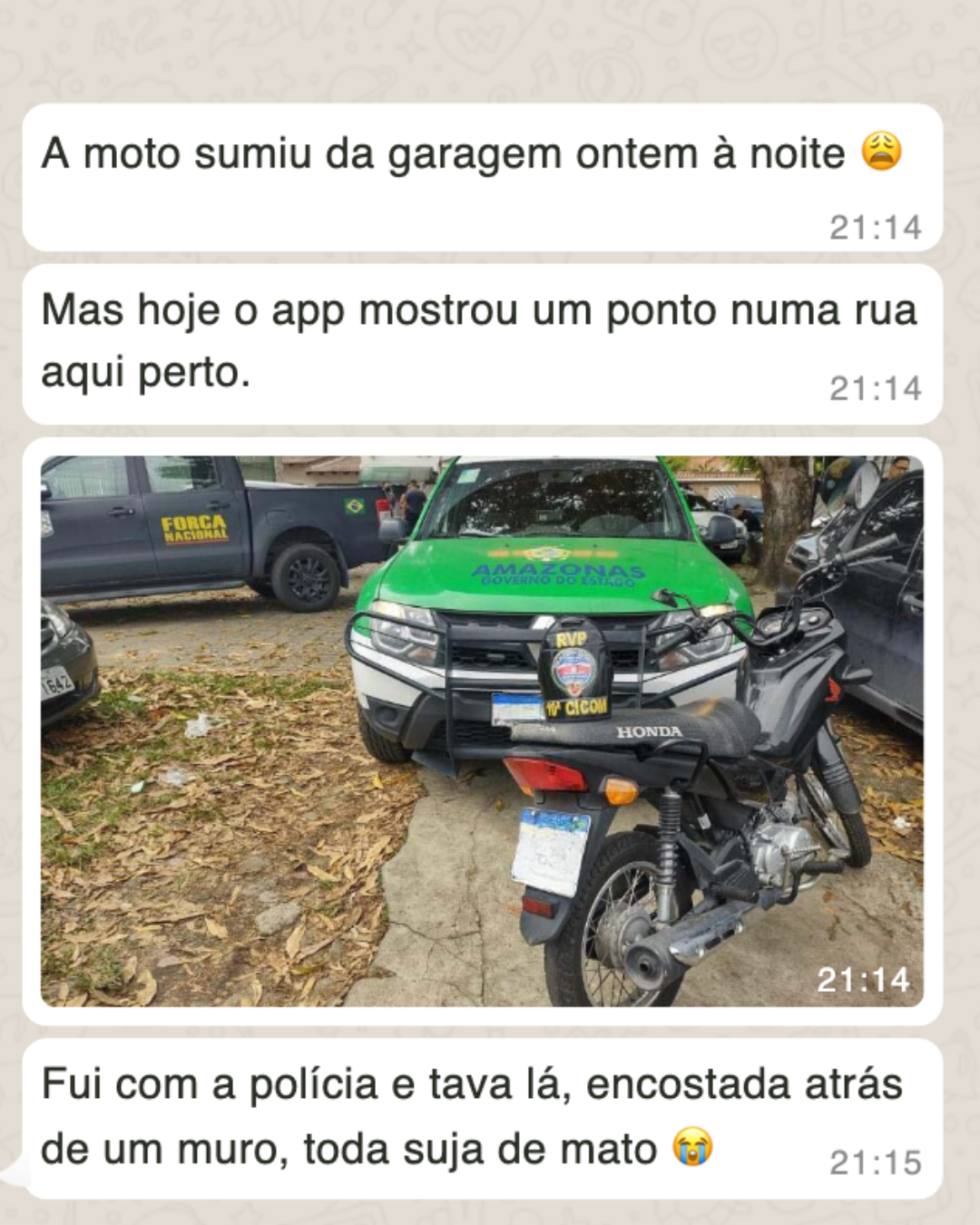 Depoimento Rastreia Car 2